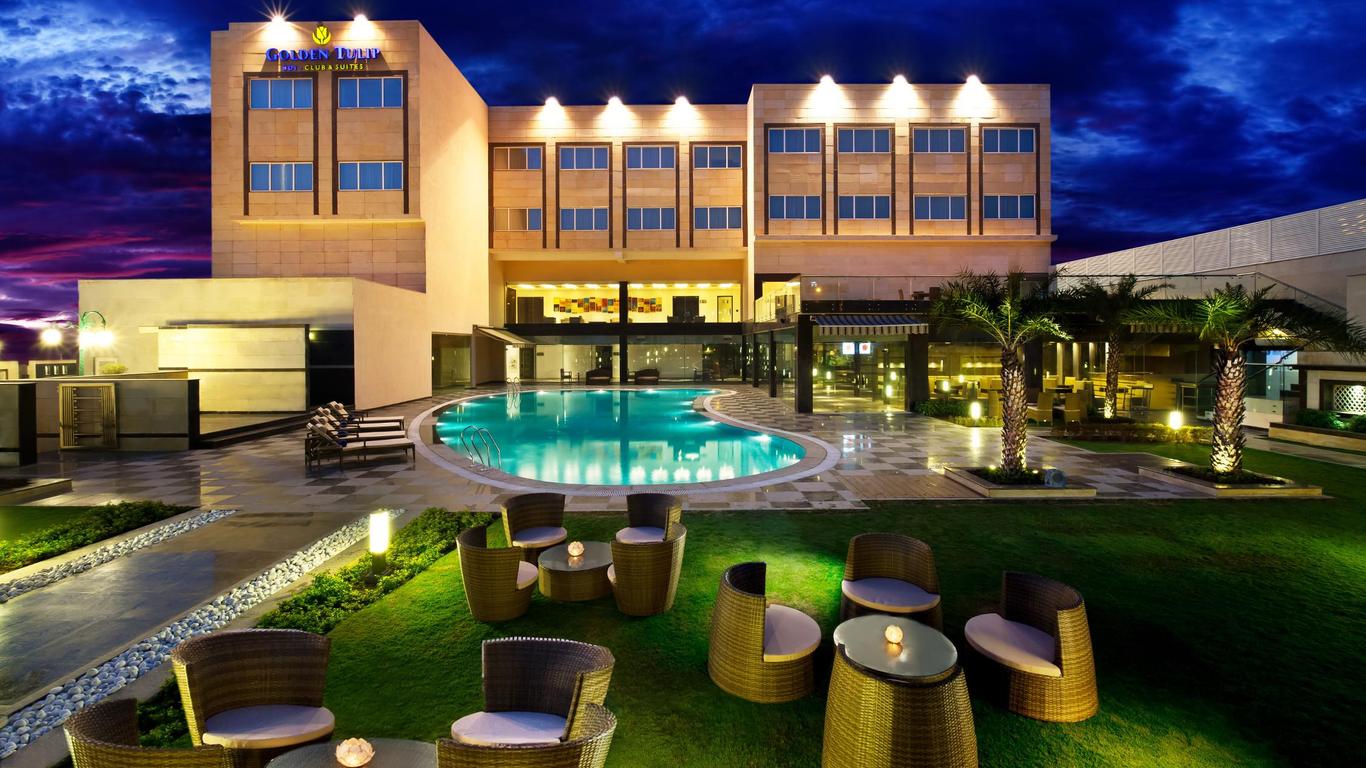 جولدن توليب بيوادي