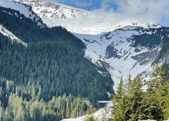 Mt Rainier Little Red Cabin - Ashford - Buiten zicht