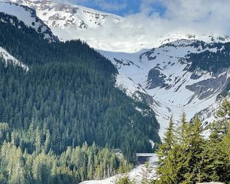Mt Rainier Little Red Cabin - Ashford - Vista del exterior