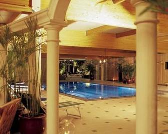 Hotel Thermen Mineraal - Rijmenam - Pool