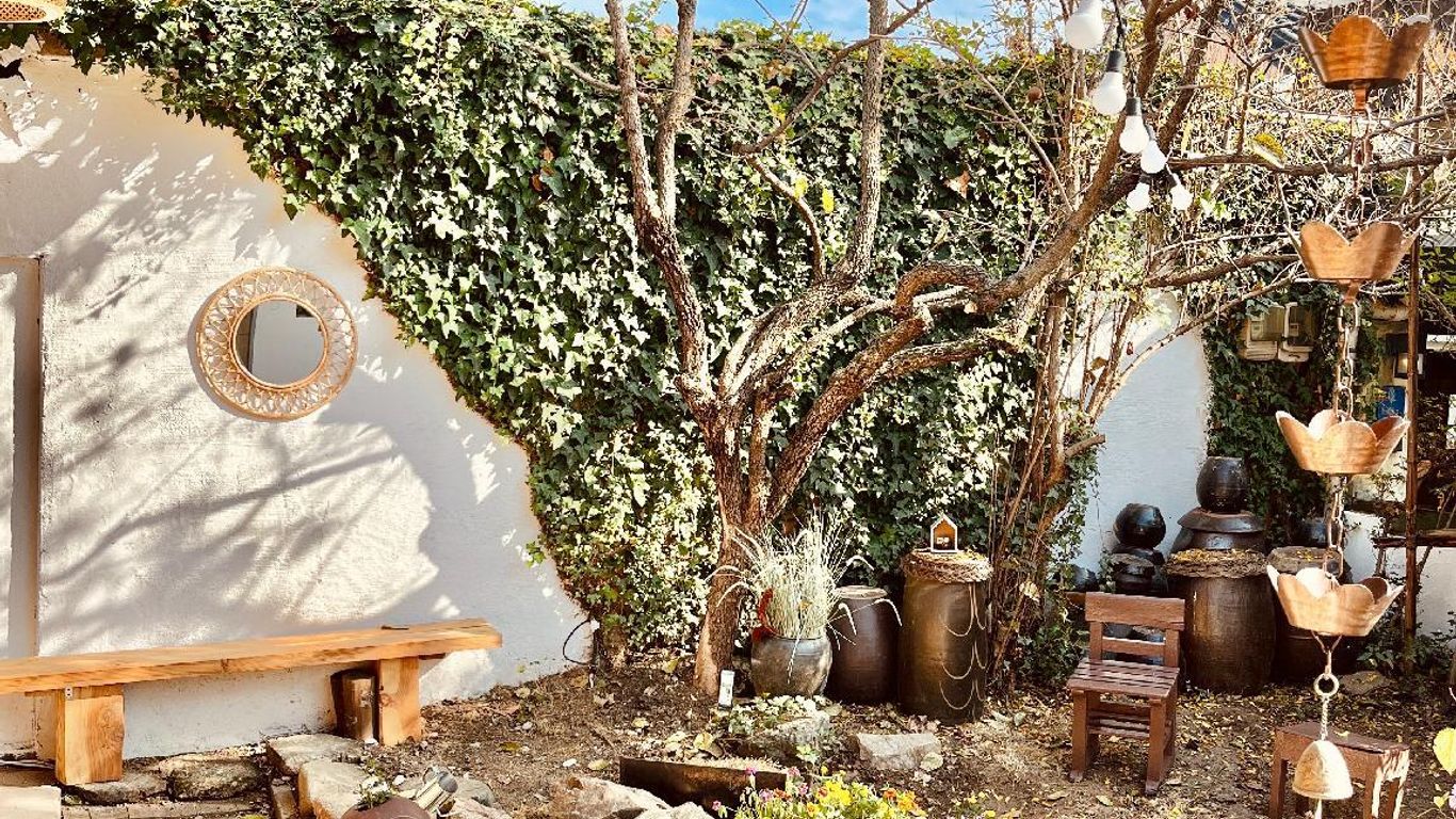 سوسوهان هانوك