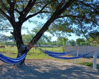 Tres Cielos Cabanas - Las Hojas - Patio