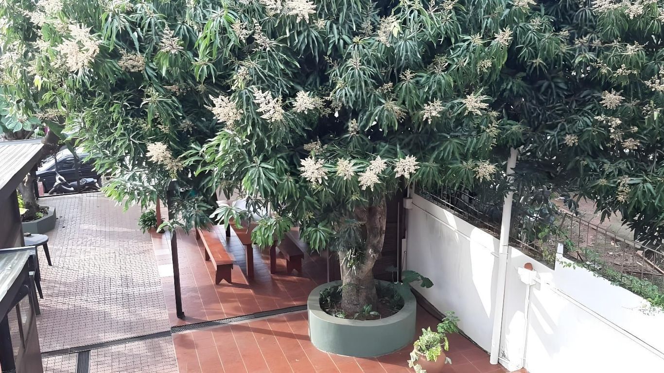 Residencial Noelia Hostel