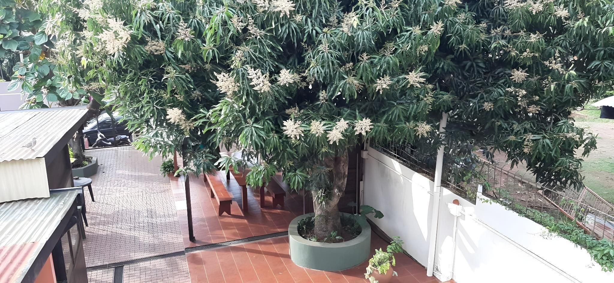 نويليا إجواثو - بويرتو اجوازو - ردهة