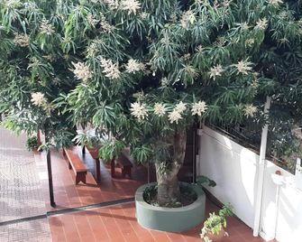 Residencial Noelia Hostel - Puerto Iguazú - Lobby