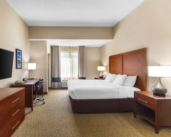 Comfort Inn & Suites Sikeston I-55 - Sikeston - Camera da letto