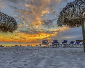 The Palm Exclusive Tropical Luxury on the Water - Tampa - Beach