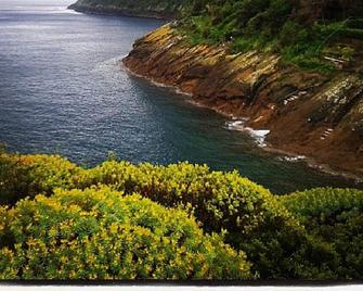 Elegant property immersed in the green Mediterranean scrub close to the sea - Procida - Strand