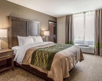 Comfort Inn and Suites Snyder - Snyder - Bedroom
