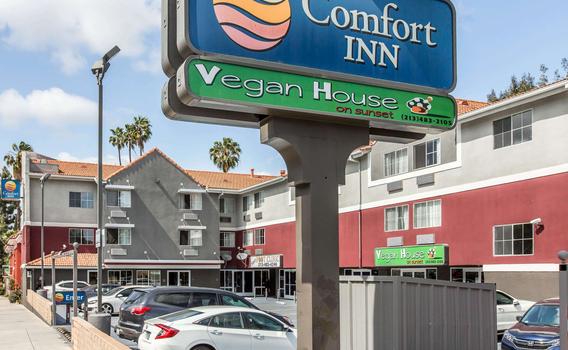 Comfort Inn Los Angeles Near Hollywood 8 166 1 4 9 0 7