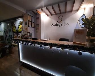 Sealey's Inn - Sipalay - Recepcja