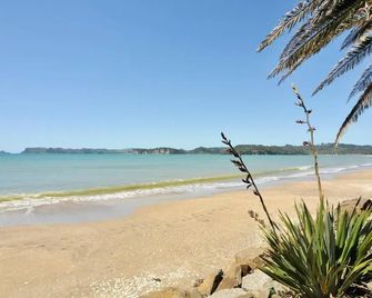 Whitianga Campground - Whitianga - Beach