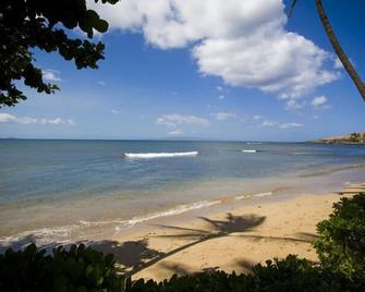Kana'i A Nalu 212 Maui Condo Right on the Beach! - Maalaea - Beach