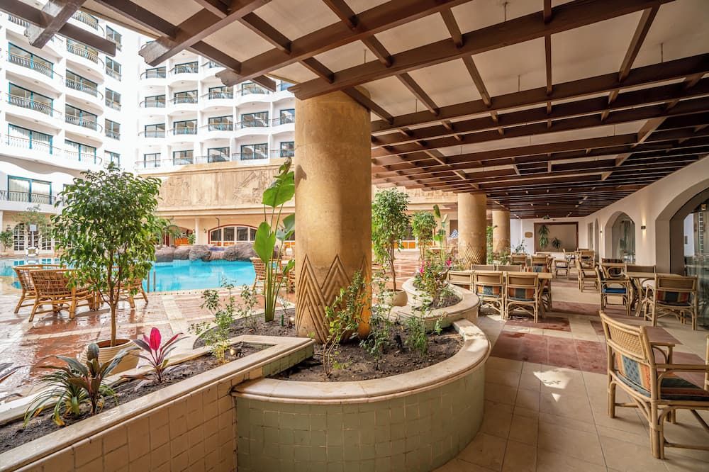 فندق أزل بيراميدز - الجيزة - حوض السباحة