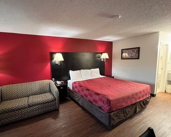 Econo Lodge Inn & Suites Tuscaloosa I-20 - Tuscaloosa - Bedroom