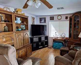 Quite Charming Updated 2 bedroom/1 bath home in Apache Junction, AZ - Apache Junction - Living room