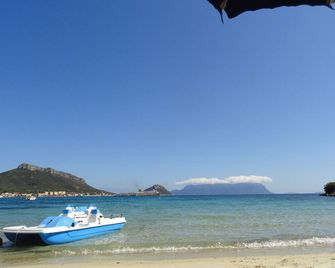 Kings - Golfo Aranci - Beach