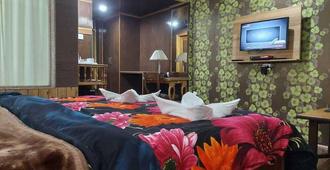 Hotel Grand Habib - Srinagar - Bedroom