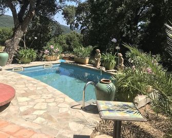 Le Charme Authentique et Bohème de la Pleine Nature Dans le Golfe de St Tropez - La Garde-Freinet - Pool