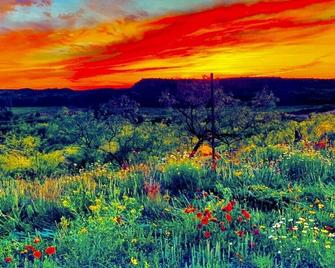 The Lonepine In Yellowhouse Canyon - Slaton - Vista del exterior