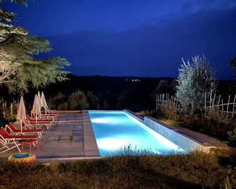 A Path Of Relaxation And History Between Vineyards And Olive Trees - Montaione - Piscine