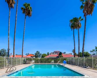 Super 8 by Wyndham Bakersfield/Central - Bakersfield - Piscina