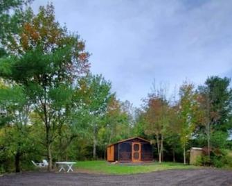 Pine Cone Off grid cabin near Watkins Glen, NY! - Rock Stream - Building