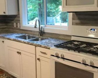 Beech - Grace Landing Cottages With Stunning Sunsets Over Hamlin Lake - Ludington - Kitchen