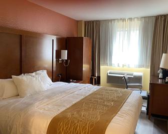 Ramada by Wyndham New York Times Square West - New York - Schlafzimmer