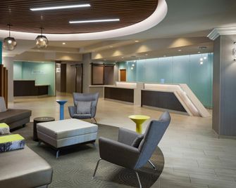 SpringHill Suites by Marriott Orlando Lake Buena Vista in the Marriott Village - Orlando - Lounge