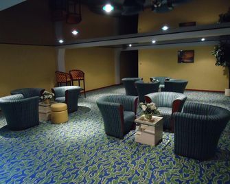 Hotel Le Pole Europeen - Aubange - Lounge