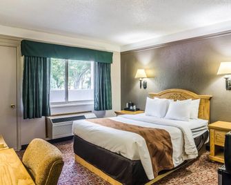 Quality Inn - Buffalo - Chambre