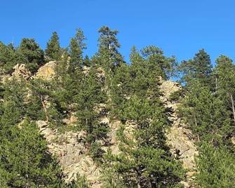 Dog-friendly Jim Bridger Cabin on Coal Creek - Boulder/Golden - Eldorado Springs - Vista del exterior