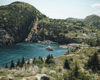 Mallard Inn - St. John's