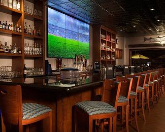 Rumfish Beach at Tradewinds - סנט פיט ביץ' - בר