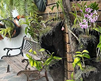 Batey Hotel Boutique - Boca Chica - Outdoor view
