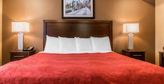 Rodeway Inn Chicago-Evanston - Chicago - Bedroom