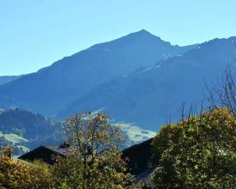 Apartment Hornflue - Baumann by Interhome - Saanen - Outdoor view