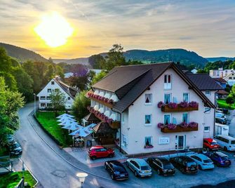 Hotel Schwörer - Titisee-Neustadt
