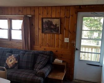 Lakeside Cabin Rental with a Boat Launch near Tomahawk, Wisconsin - Tomahawk - Huiskamer