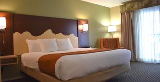 貝斯特韋斯特德利福特伍德旅館 - 愛達荷瀑布市 - 愛達荷福爾斯 - 臥室