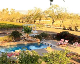 Farmhouse Wine Country Estate - Heated Swimming Pool, Hot Tub, Giant Tree Swing - San Martin - Pool