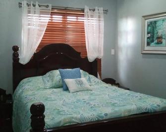 Db Tower Vacation Rental - Belize City - Bedroom