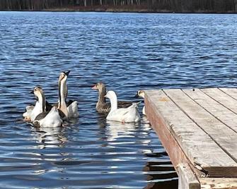 Lake View Loft Cabin Off Grid Solar - Wasilla