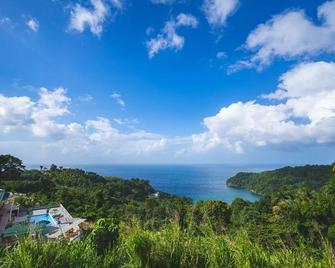 Nature awaits in Tobago - Mason Hall