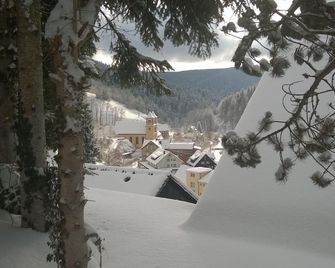 Klösterle Hof - Bad Rippoldsau - Vista del exterior