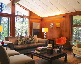 Waterfront Mid-century Modern Gem Surround by Forever Wild Land - Mount Tremper - Living room