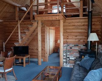 Nice little cabin just south of Dillon. - Dillon - Living room