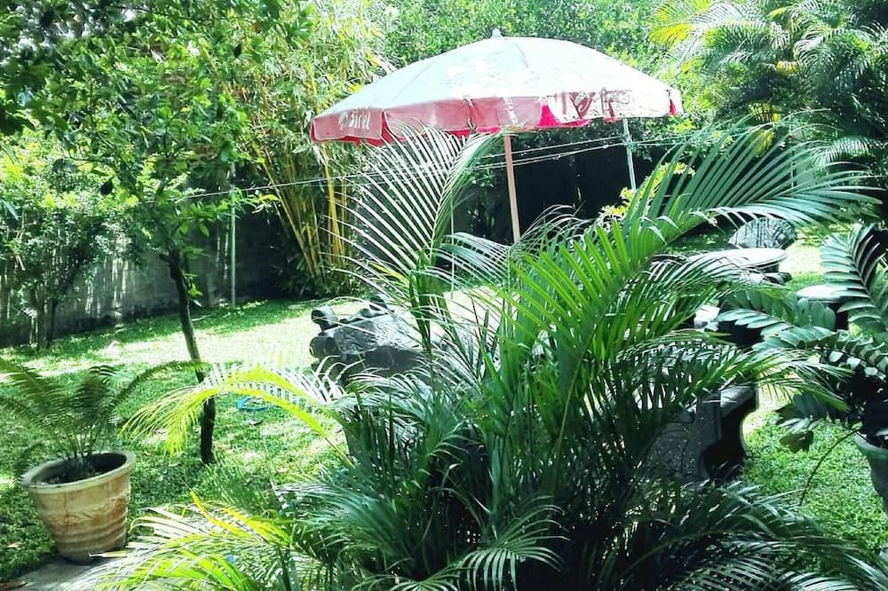 Takeshi Inn - Dambulla - Outdoors view