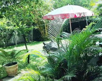 Takeshi Inn - Dambulla - Outdoors view